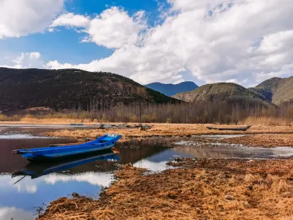 Casilando Cazino Cazinou Aplicație mobilă